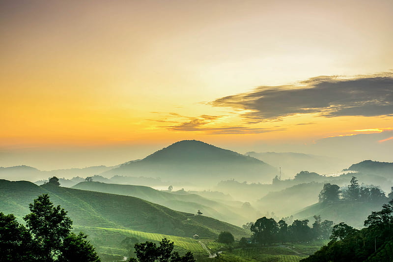 Man Made, Tea Plantation, Cloud, Mountain, Sky, Sunset, HD wallpaper