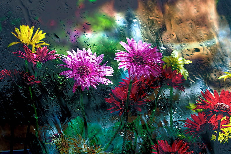 Flowers Behind Glass Drops, flowers, drops, glass, graphy, HD wallpaper |  Peakpx