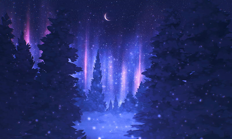 Winter Night, snow, drawing, trees, digital art, Winter, night, stars, forest, fantasy, moon, magical, HD wallpaper