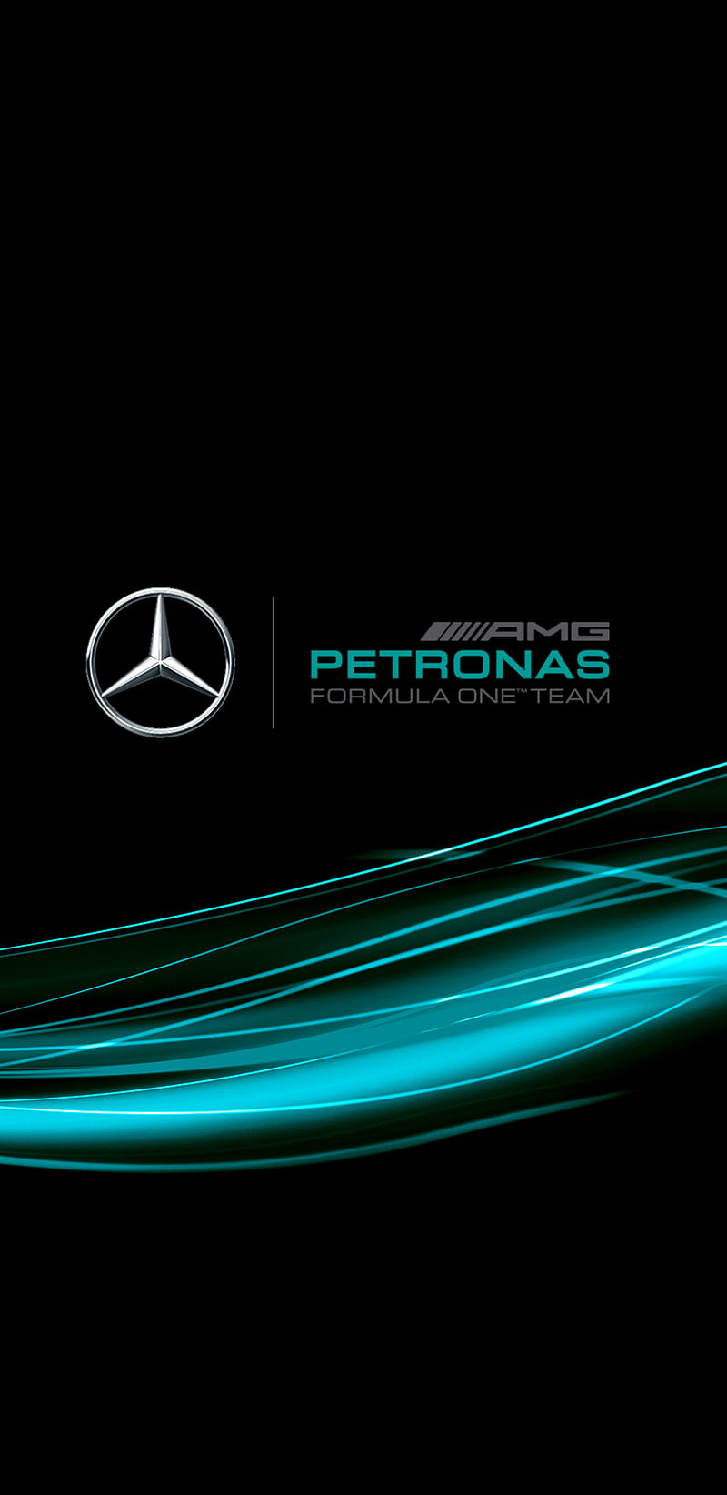 F1 Mercedes Carbon amg badge emblem f1 formula one logo mercedes 