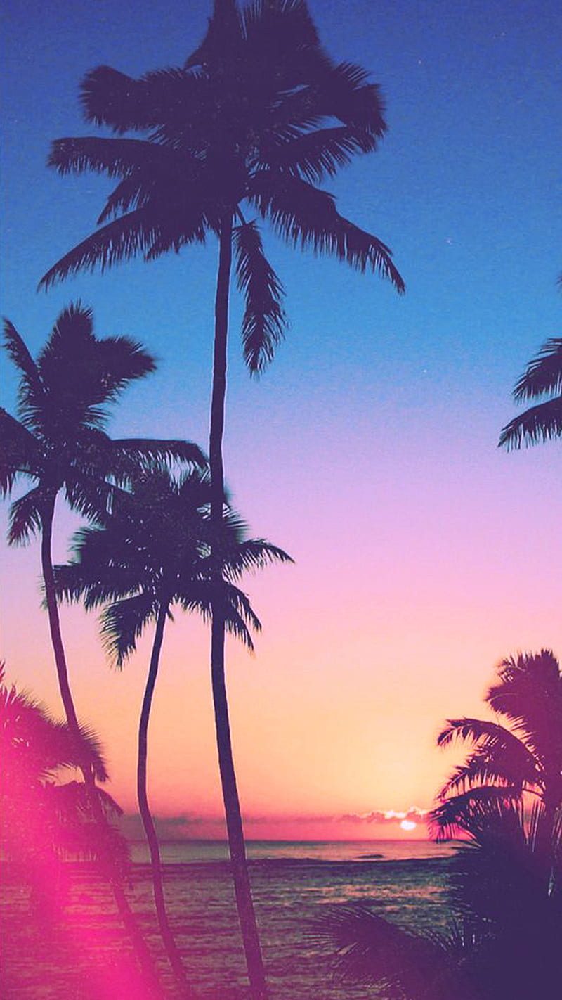Palms, beach, sunset, HD phone wallpaper