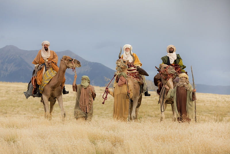 Wise men, nativity, christ, desert, people, man, wise, camel, HD wallpaper