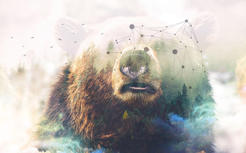 grizzly, art, creative, bear, predator, HD wallpaper