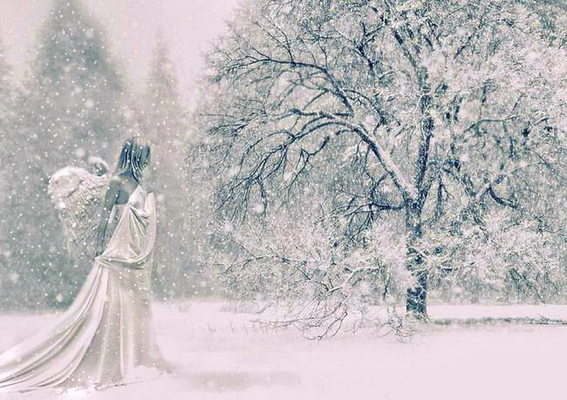 Snow angel, tree, wings, snow, angel, white, woman, winter, HD wallpaper