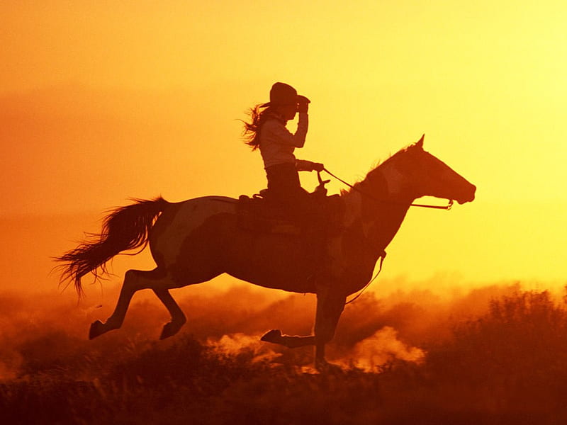 Sunset Rider, sunset, galloping, horse, rider, HD wallpaper