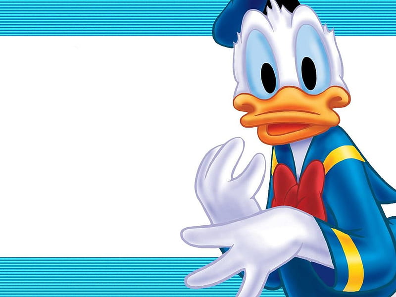 Donald Duck, cartoons, surprised, funny, cartoon, HD wallpaper | Peakpx