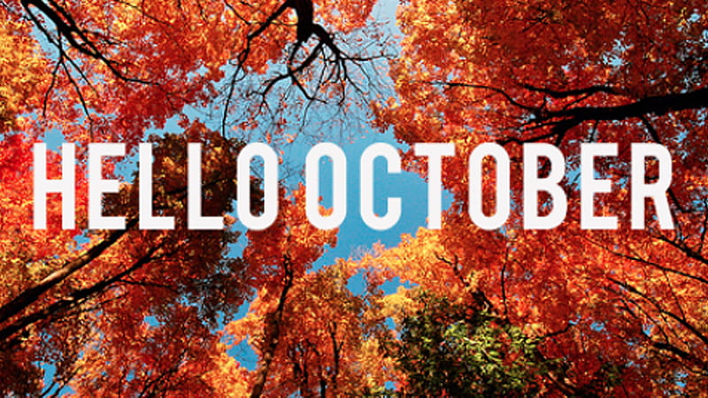 Hellow October Colorful Autumn Leaves Blue Sky Background October, HD wallpaper