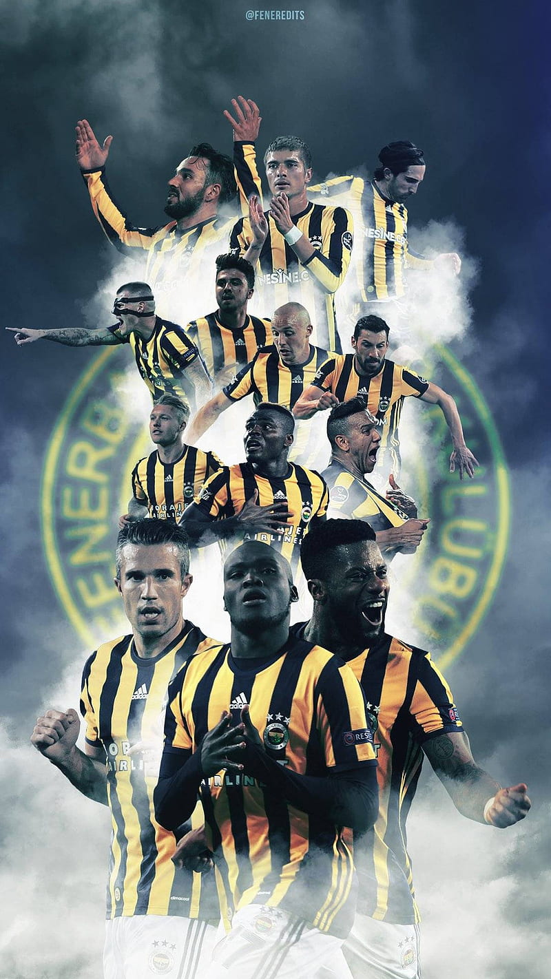 Fenerbahce team, logo, HD phone wallpaper | Peakpx