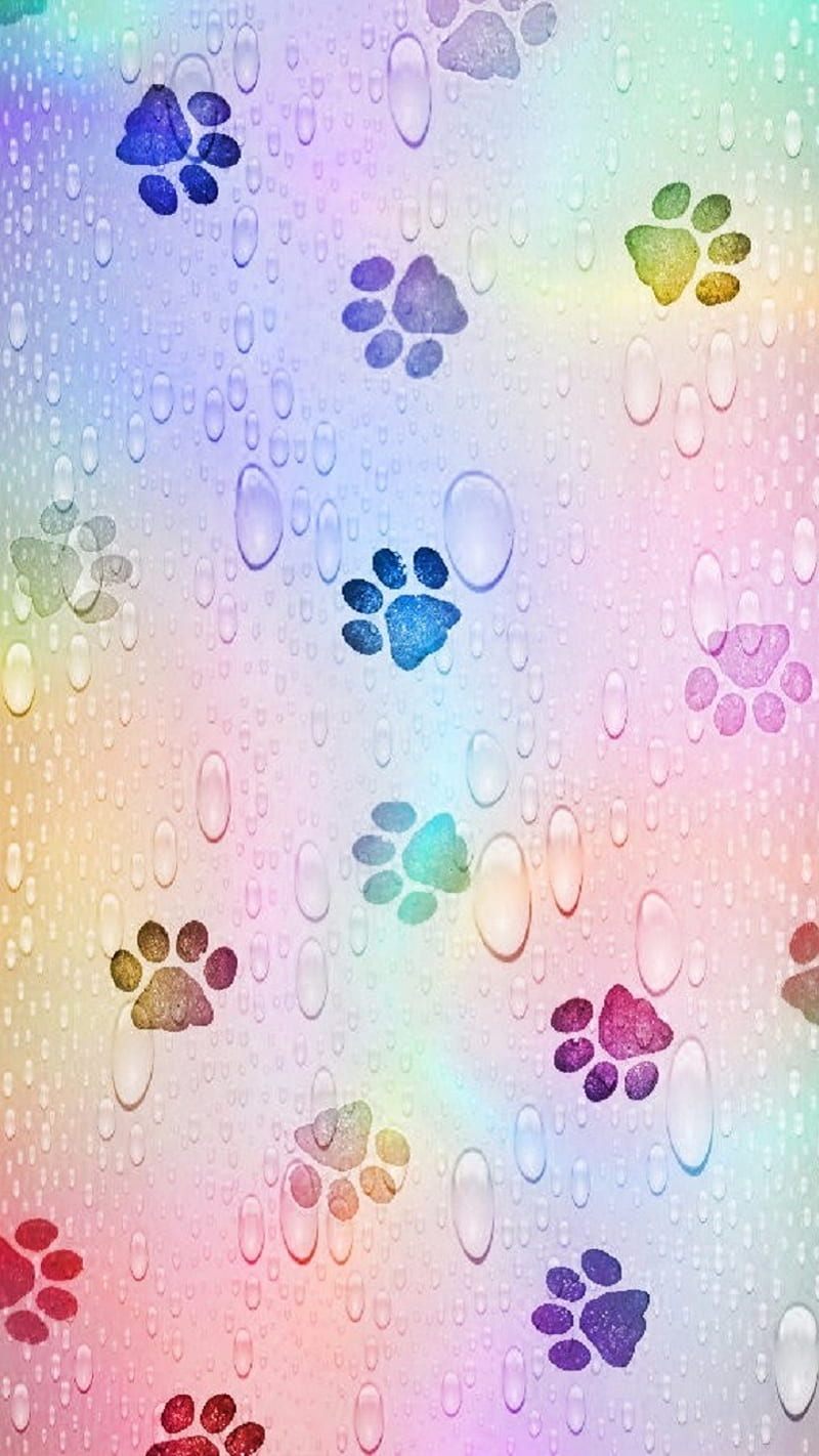 Rainbow Paw Prints, abstract, animals, bright, cat, colorful, colors, drops, feet, feline, fun, kitty, pattern, pawprints, paws, pets, rain, water, HD phone wallpaper