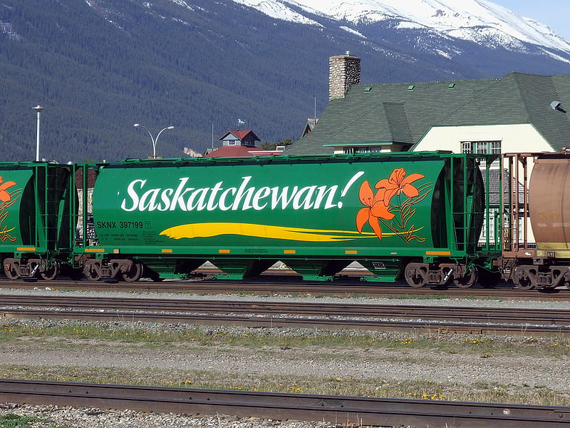 Saskatchewan Grain Cars, modern, grain, train, saskatchewan, HD wallpaper