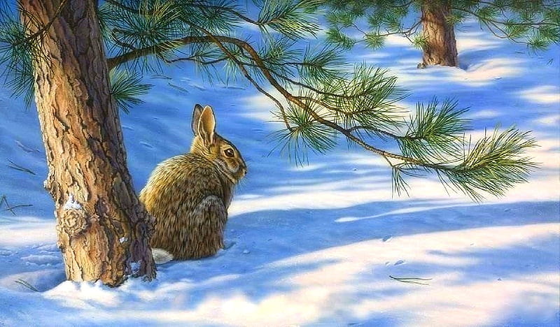 Winters Canopy, rabbit, holidays, love four seasons, attractions in dreams, xmas and new year, pine tree, winter, paintings, snow, forests, animals, HD wallpaper