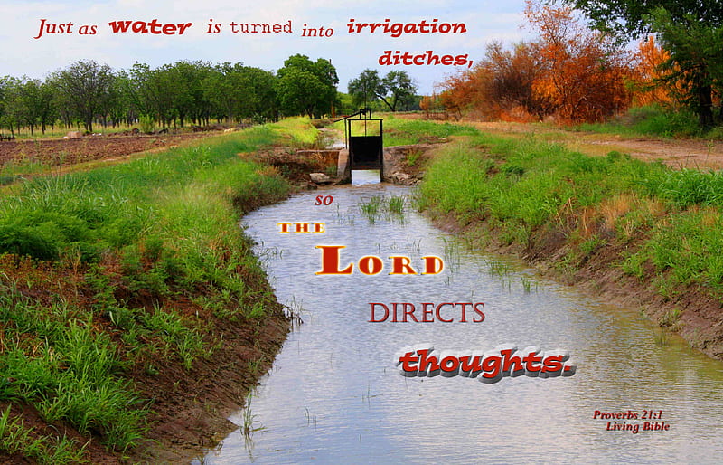 God Directs Thoughts, canal, gate, water, grass, Bible, irrigation, bushes, HD wallpaper