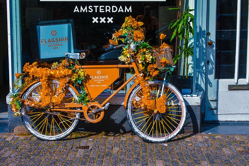 Flowery Bike - Amsterdam, Cities, Bicycles, Europe, Amsterdam, Holland, The Netherlands, HD wallpaper