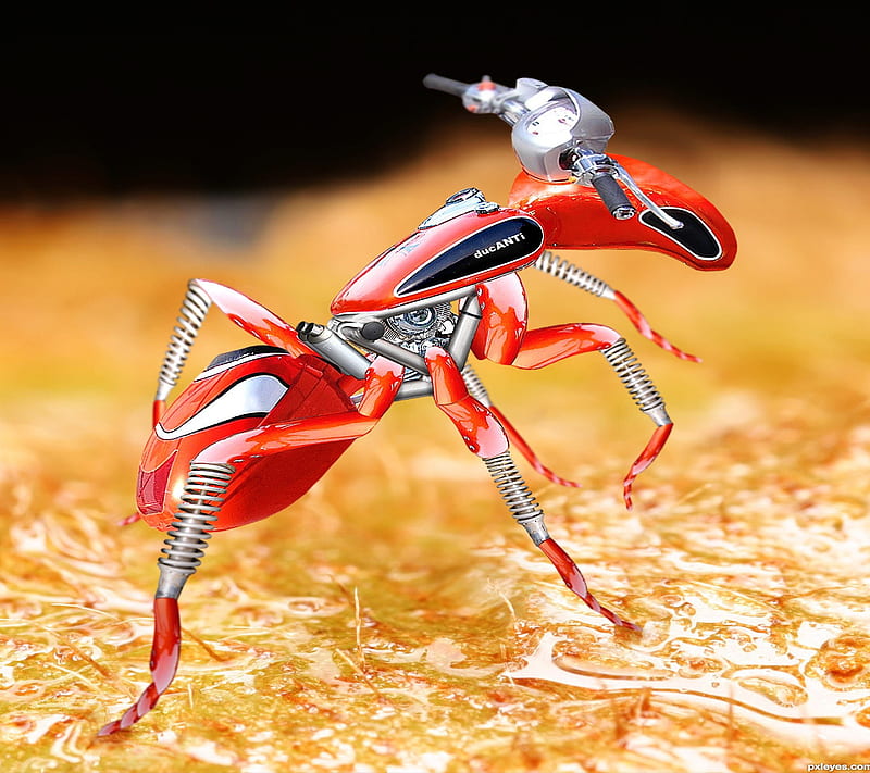 Ant Bike 1, ant, bike, fun, funny, karmughil, red, HD wallpaper