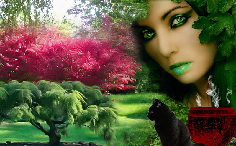 Forest Fantasy Girl, red, grass, flesh, black, trees, cat, floral, girl, green, flowers, drink, white, pink, blue, HD wallpaper
