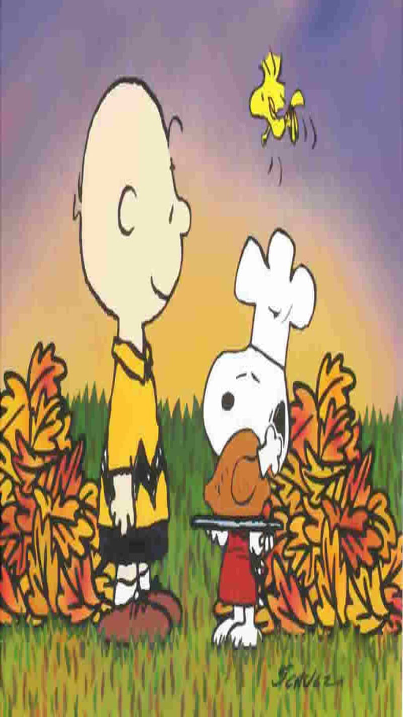 Thanksgiving card happy thanksgiving leaves snoopy thanksgiving HD  phone wallpaper  Peakpx