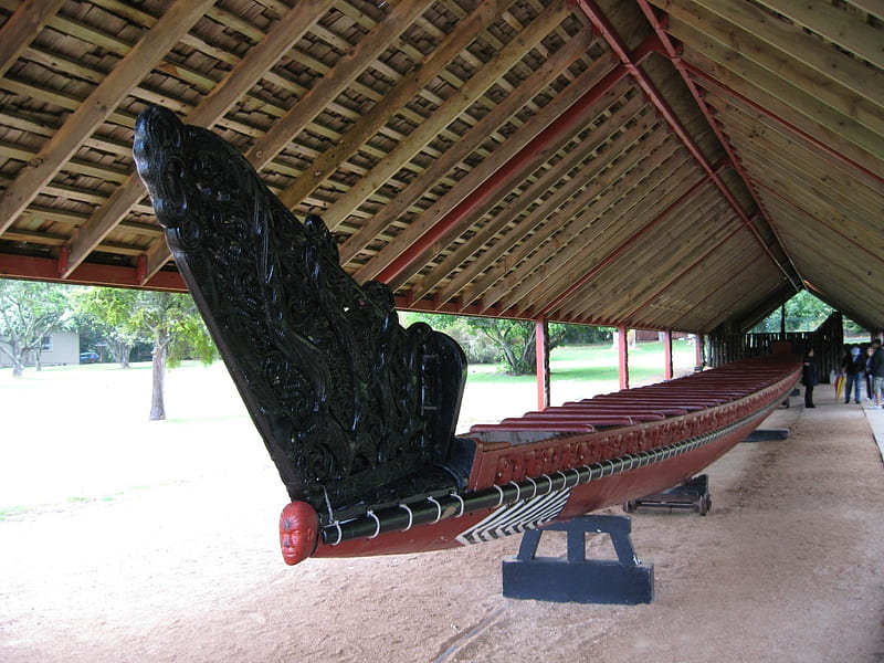 moari war canoe, carved, new zealand, warrior, boat, HD wallpaper