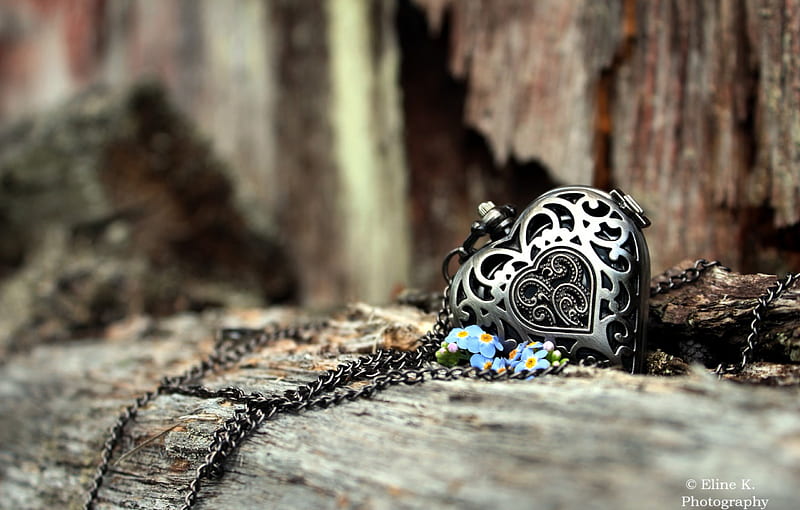 Do Not Forget Me , bonito, for me not, jewelry, graphy, heart, flowers, locket, wood, blue, HD wallpaper