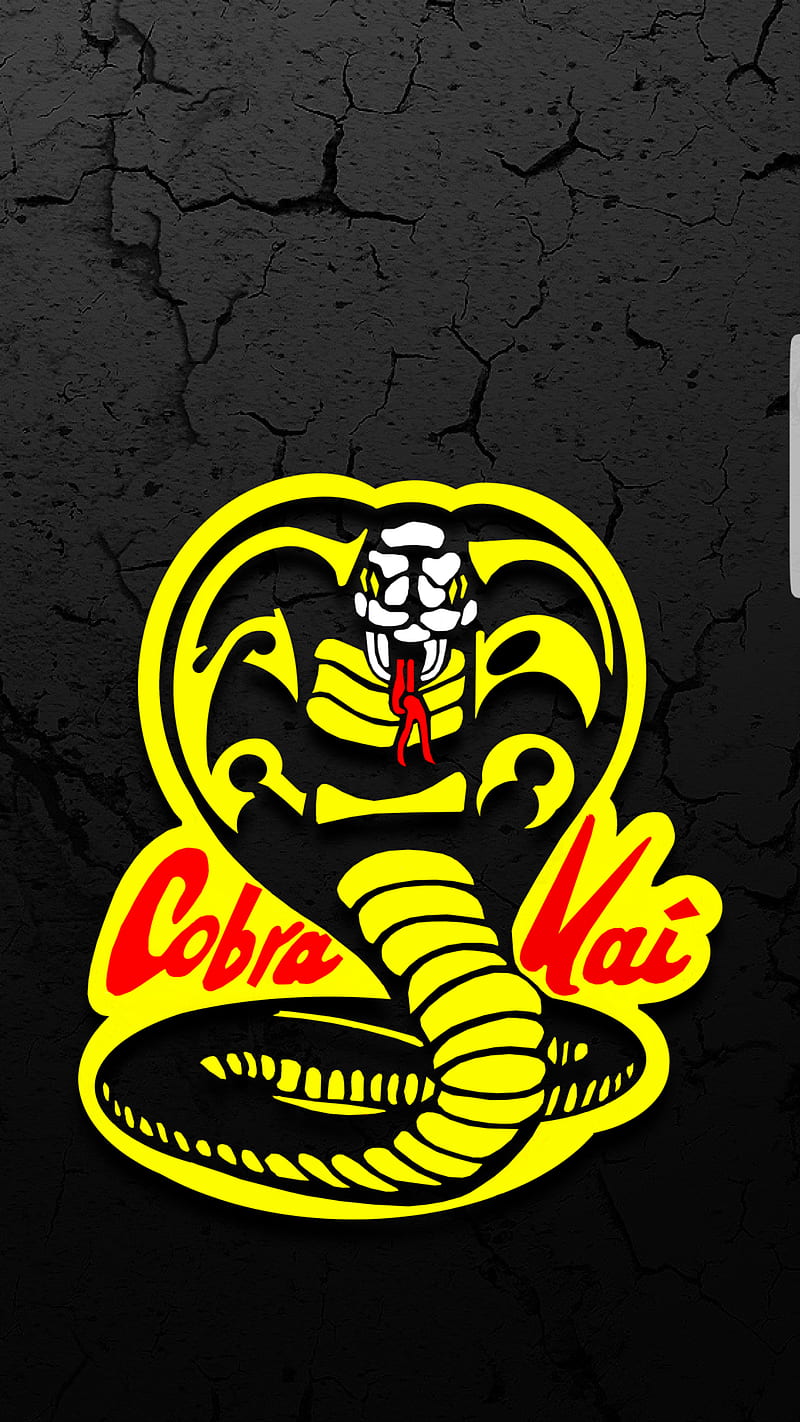 Cobra Kai, cobra, kai, karate, seriado, HD phone wallpaper
