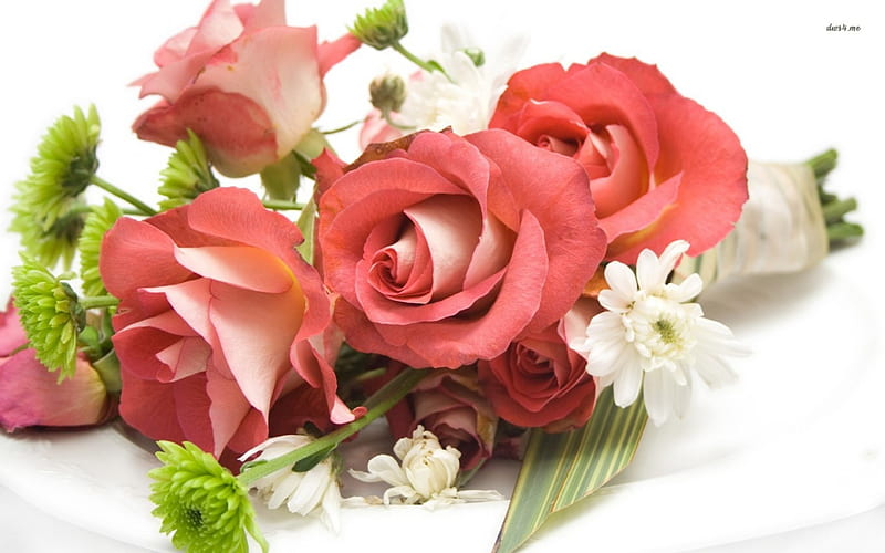 Hermoso ramo de rosas, hermosas flores, flores blancas, bonito, hermosas  rosas, Fondo de pantalla HD | Peakpx