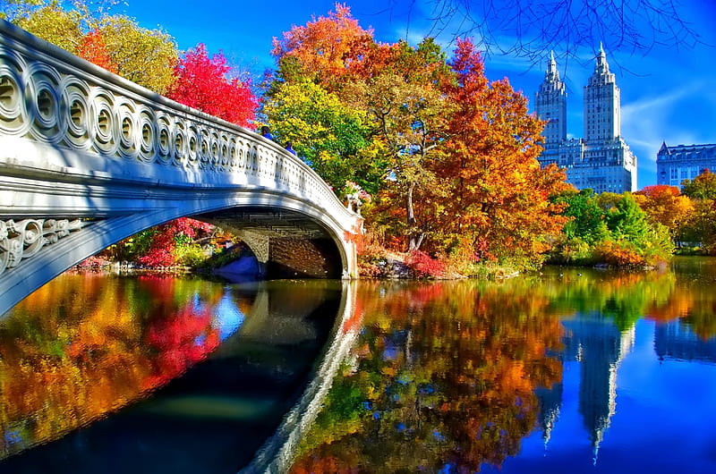 Autumn in Central Park, Fall, autumn, new york, buildings, trees, city, water, central park, bridge, Skyscrapers, river, branches, reflextion, HD wallpaper