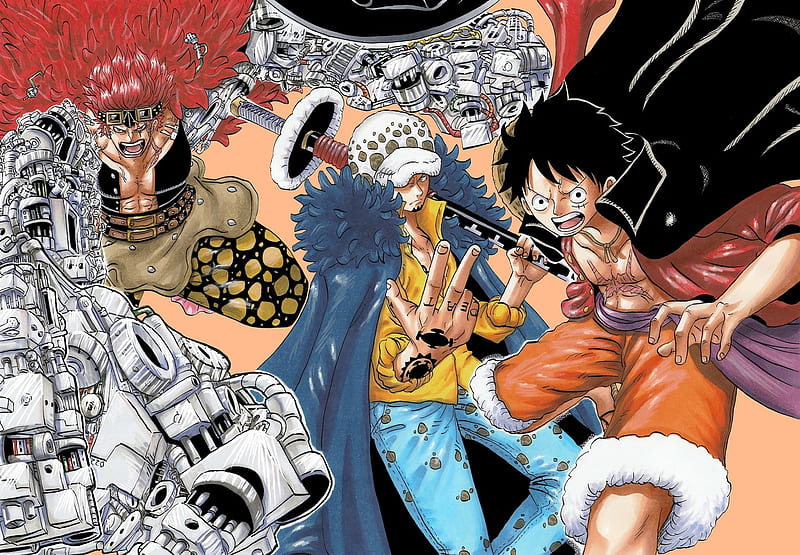 One Piece Anime Characters 4K Wallpaper #6.125