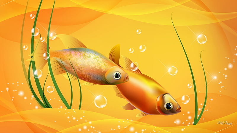 Fish of Gold, grass, aquarium, yellow, pets, sea, gold, water, swim, bubbles, bowl, gold fish, HD wallpaper