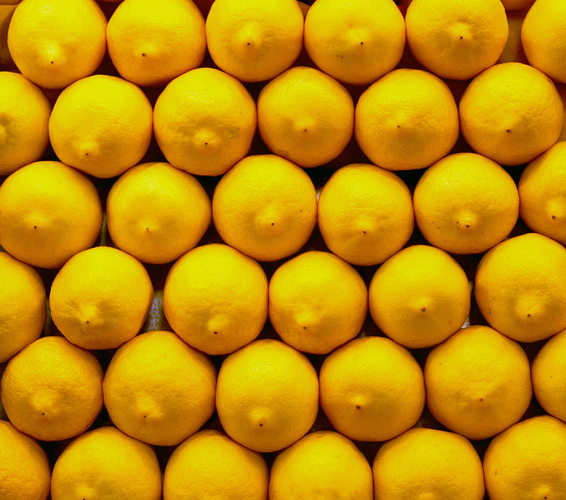 lemons, citrus, fruit, HD wallpaper