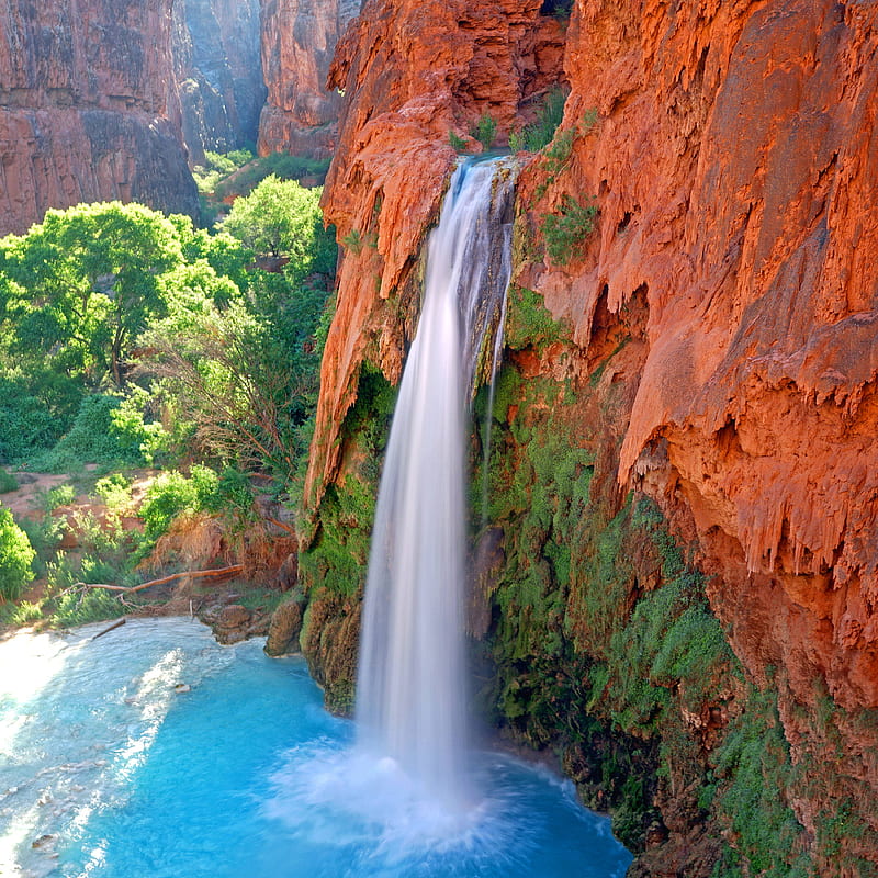 Canyon Oasis, az, havasu falls, waterfall, waterfalls, HD phone wallpaper