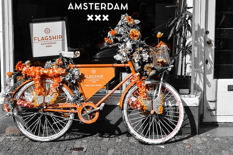 Flowery Bike - Amsterdam, The Netherlands, Amsterdam, Bicycle, Flowers, Holland, Cities, Europe, HD wallpaper