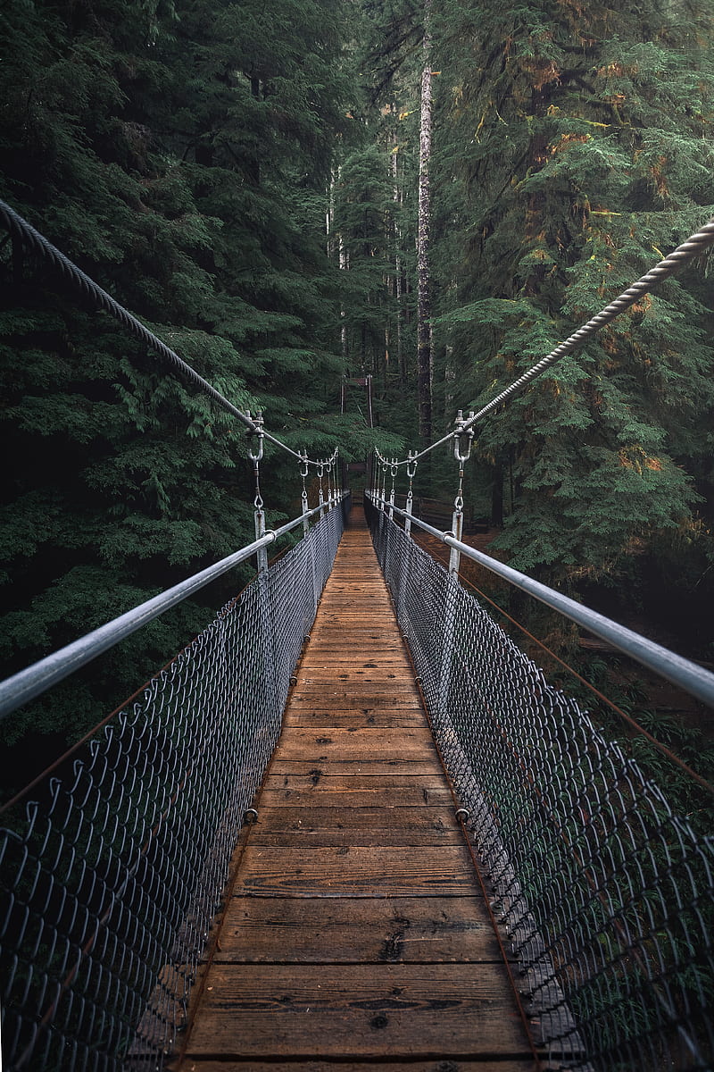 First Perspective graphy of Hanging Bridge, HD phone wallpaper