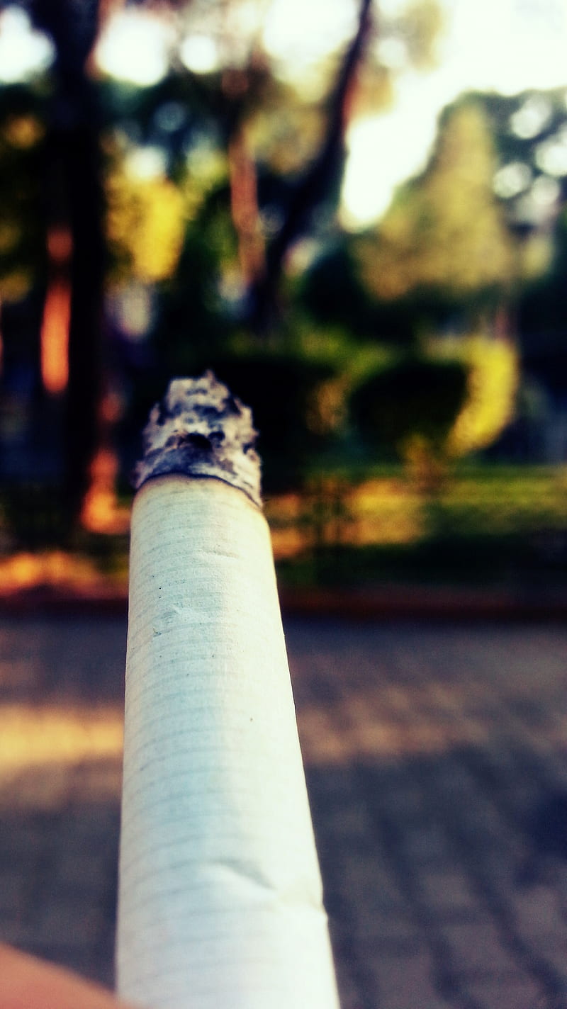 Cigarette, cigar, green, life, nature, smoke, HD phone wallpaper