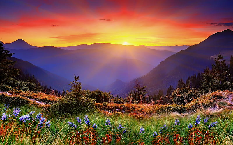 New Zealand, mountains, summer, sunset, HD wallpaper