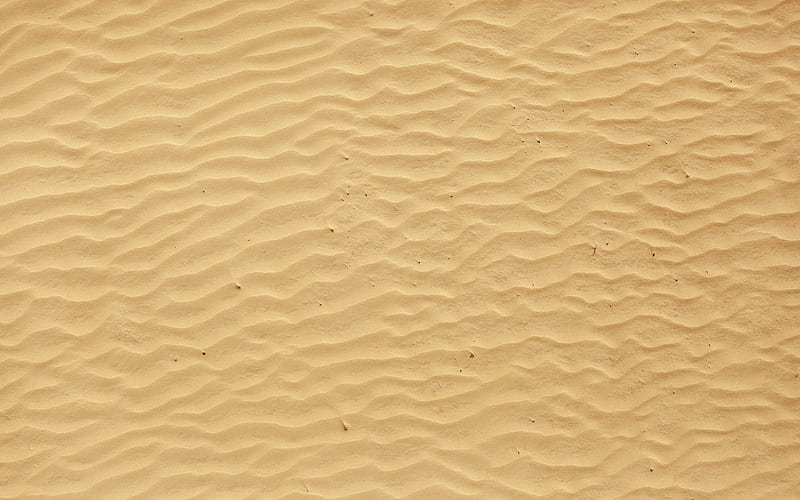 sand waves texture, coast, macro, sand backgrounds, sand tetures, sand pattern, sand, HD wallpaper