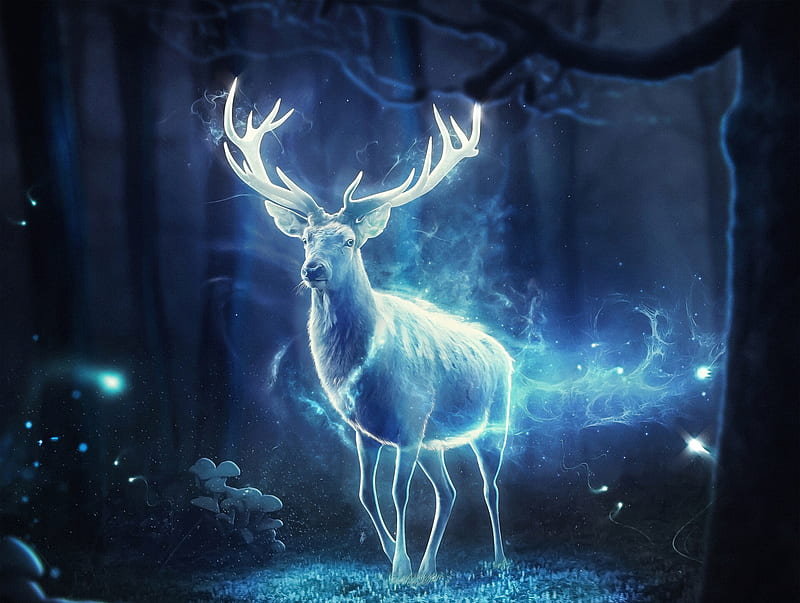 Glowing deer, luminos, hosne qanadelo, deer, blue, night, glow, cerb, horns, fantasy, white, HD wallpaper