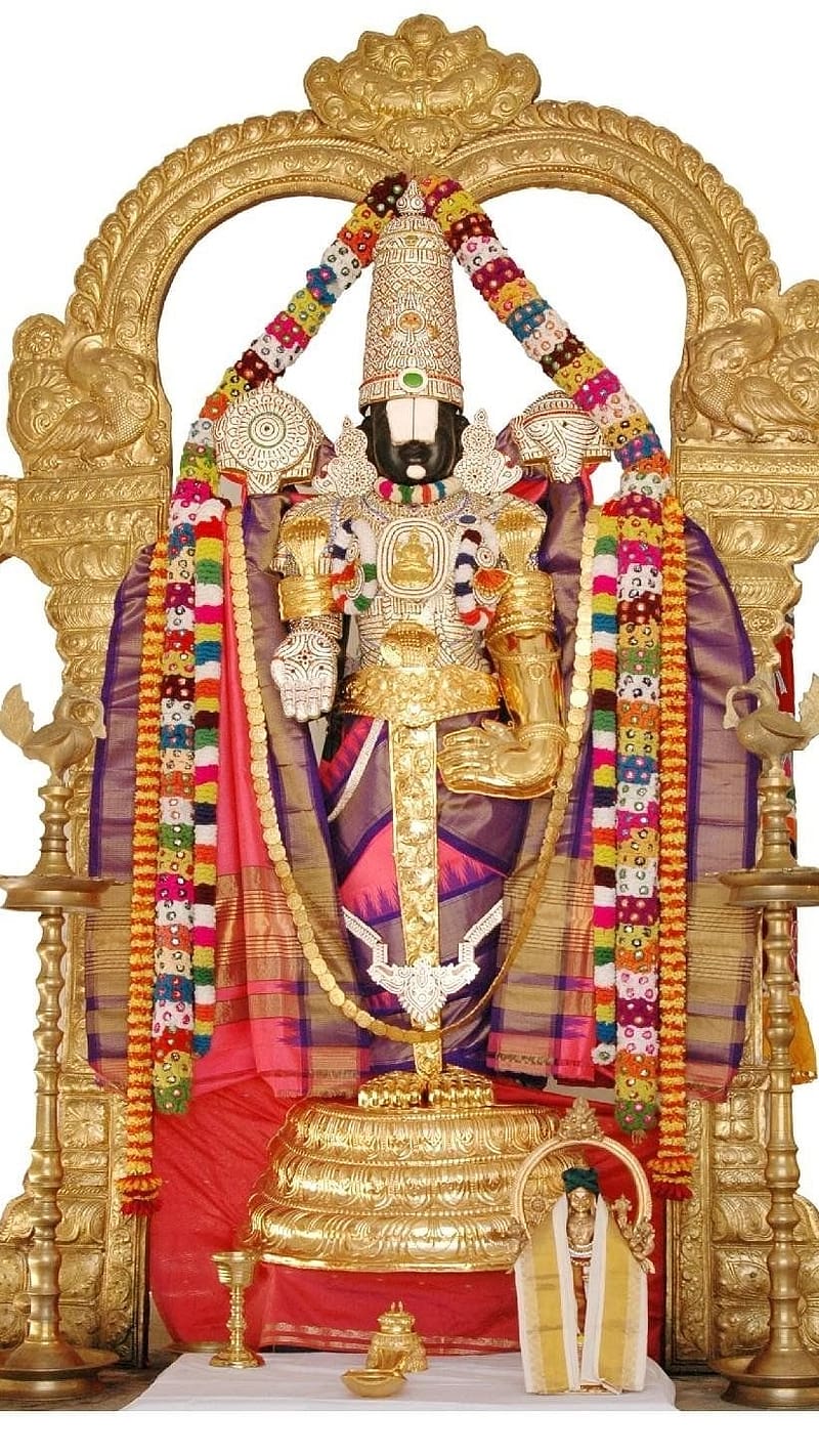 Tirupati Balaji, Purple Silk Saree, lord, god, venkateshwara, HD phone wallpaper