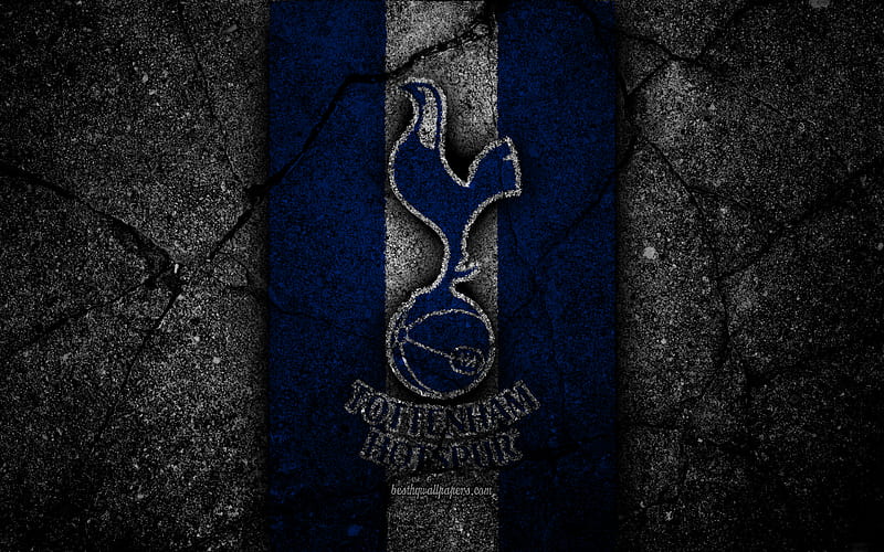 Tottenham Hotspur FC logo, Premier League, grunge, England, asphalt texture, Tottenham Hotspur, black stone, soccer, football, FC Tottenham Hotspur, HD wallpaper