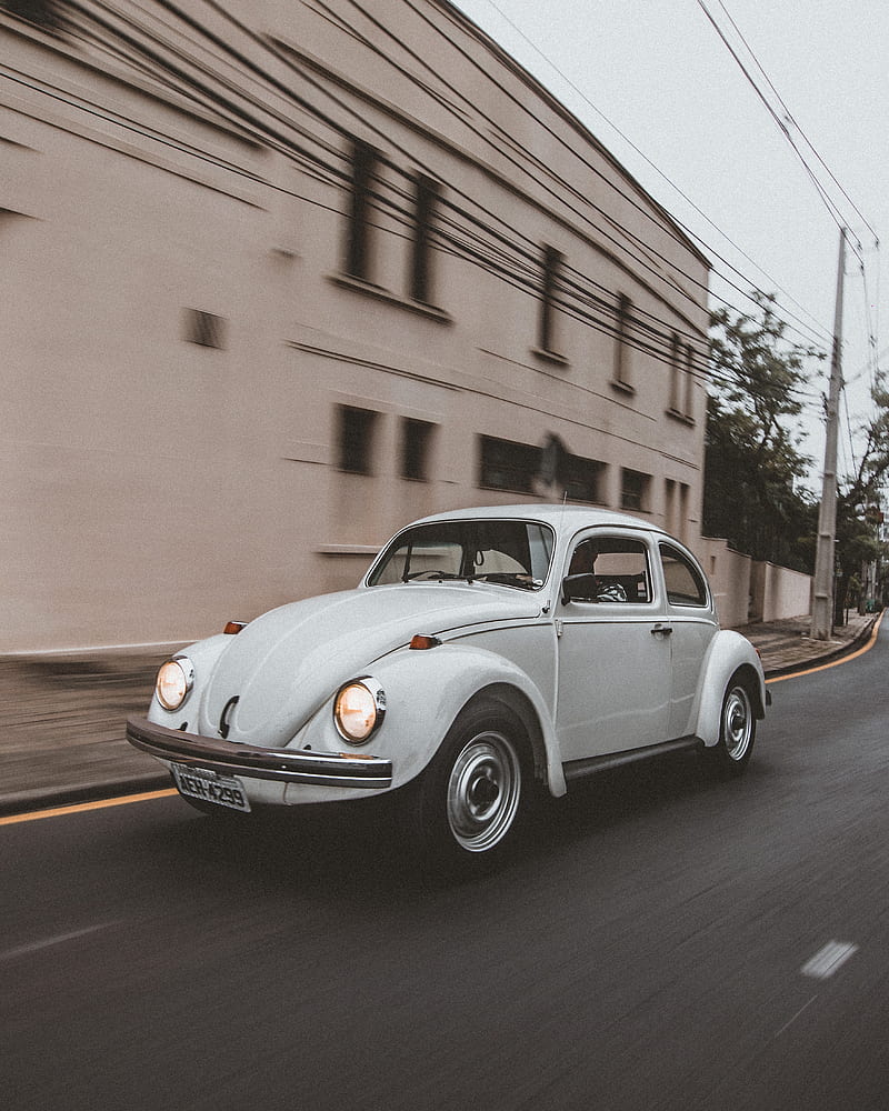 Volkswagen beetle, volkswagen, car, white, retro, road, HD phone wallpaper  | Peakpx