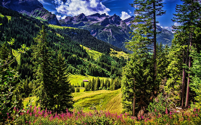 Switzerland Alps at summer, R, Sanetschhore, beautiful nature, Alps, Europe, HD wallpaper