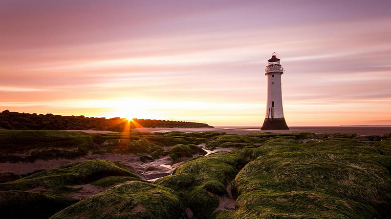 Lighthouse on a moss covered beach at sunrise, beach, rocks, pier, moss ...