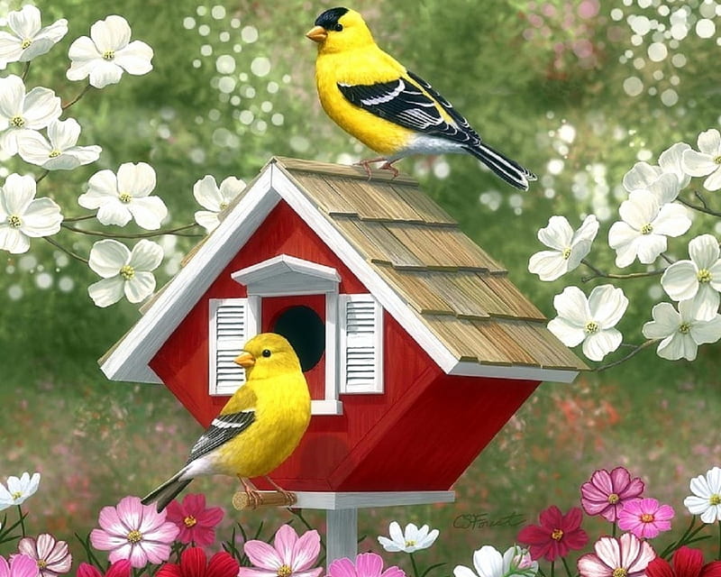 Red Birdhouse, love four seasons, birds, spring, goldfinches, cute, birdhouse, flowers, garden, lovely flowers, animals, HD wallpaper