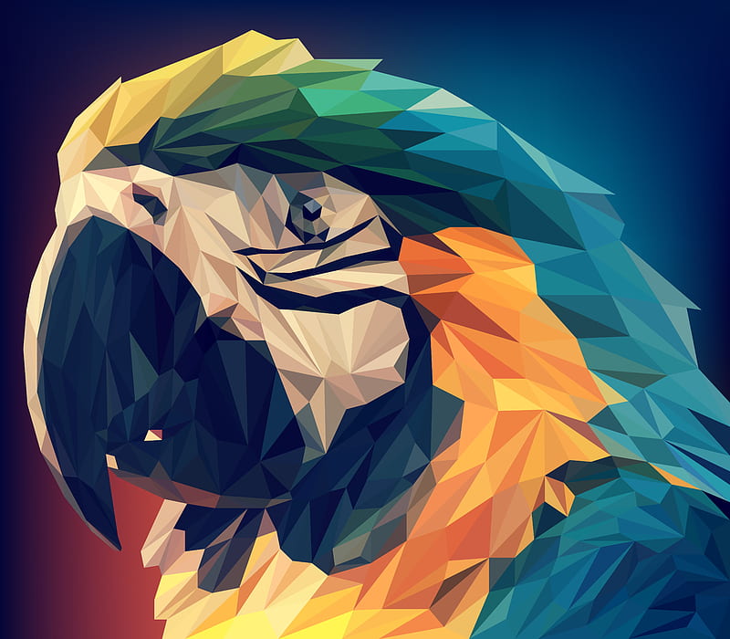 Parrot Low Poly, parrot, low-poly, artist, artwork, digital-art, HD wallpaper