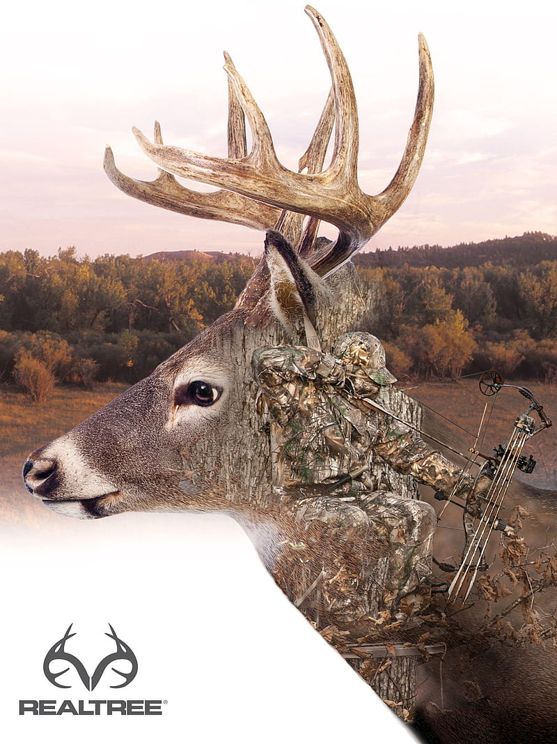 40 Whitetail Deer Wallpaper Screensaver