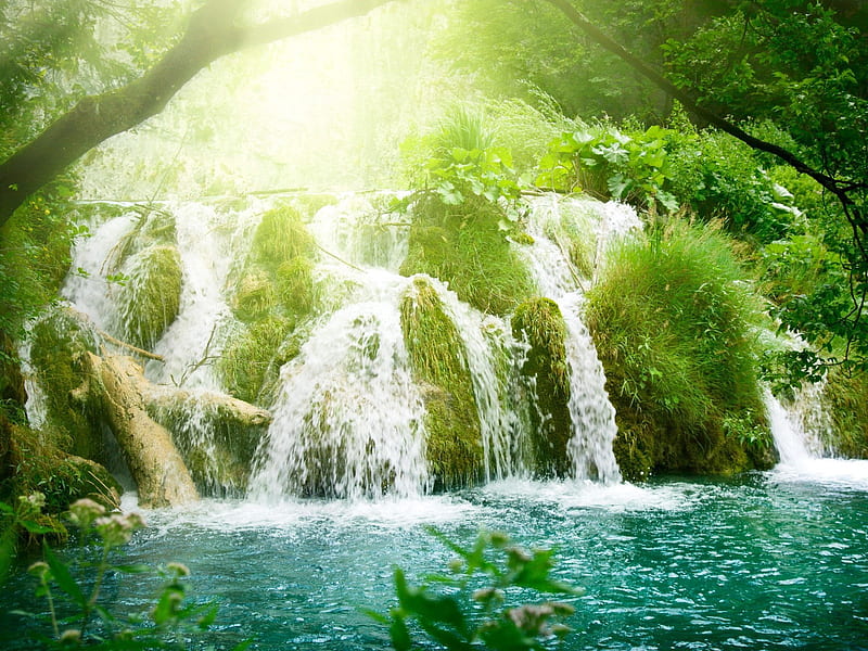 Paradise Waterfall, rocks, sun, background, nice, multicolor, wildflowers, bright, flowers, paisage, wood, brightness, waterfalls, balkans, sunrays, white, bonito, europe, leaves, green, scenery, blue, lakes, foam, croatia, paisagem, nature, branches, pc, scene, yellow, cenario, lightness, scenario, plitvice, beauty, forests, rivers, paysage, cena, trees, lagoons, panorama, water, cool, paradise, awesome, rapid, fullscreen, landscape, colorful, laguna, trunks, graphy, cascades, grove, light, falls, amazing, multi-coloured, national parks, colors, h, leaf, plants, colours, natural, HD wallpaper
