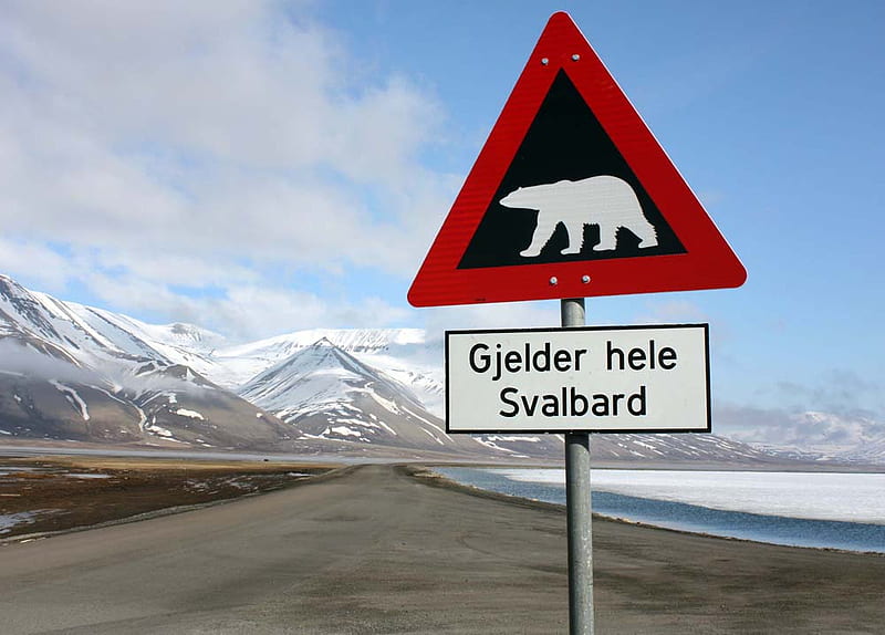 Warning , Polar Bear ;) - A gift for you, my dear friend Tony (Nannouk) ;), svalbard, warningsign, polar bear, norway, HD wallpaper