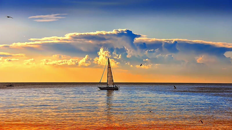 sailboat at sunset, boat, birds, sunset, sea, sail, HD wallpaper