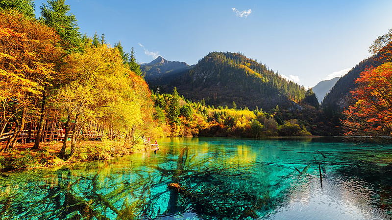 Yellow Red Green Leaves Autumn Trees Reflection On Teal Green River Mountains Under Blue Sky Nature, HD wallpaper