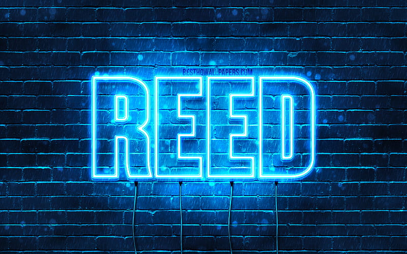 Reed with names, horizontal text, Reed name, blue neon lights, with Reed name, HD wallpaper