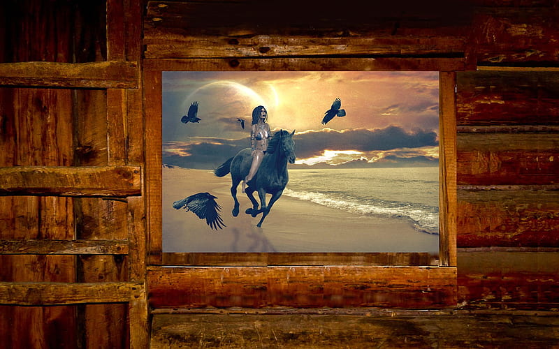 Beach View . ., cowgirl, beach, fantasy, window, birds, cabin, horse, HD wallpaper