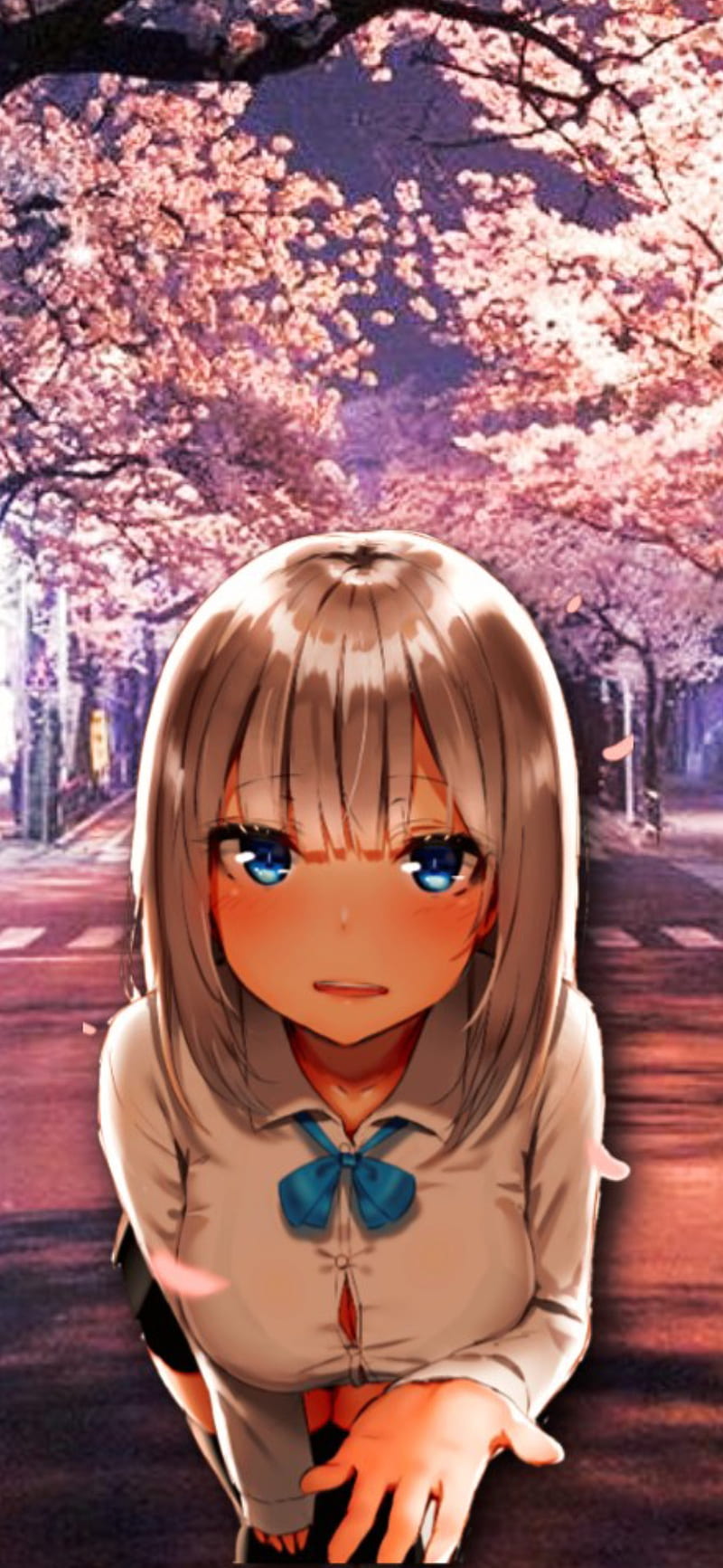 UwU, anime, girl, sakura, HD phone wallpaper